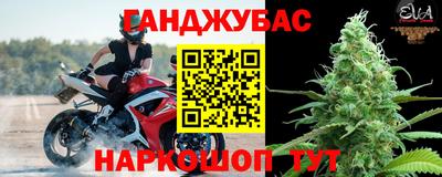 прущие крисы Славгород