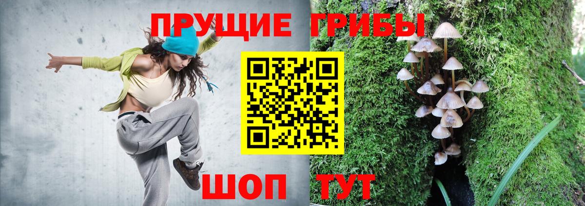 Чита  Галлюциногенные грибы ЛСД  Вход с VPN  Псилоцибиновые грибы мицелий 