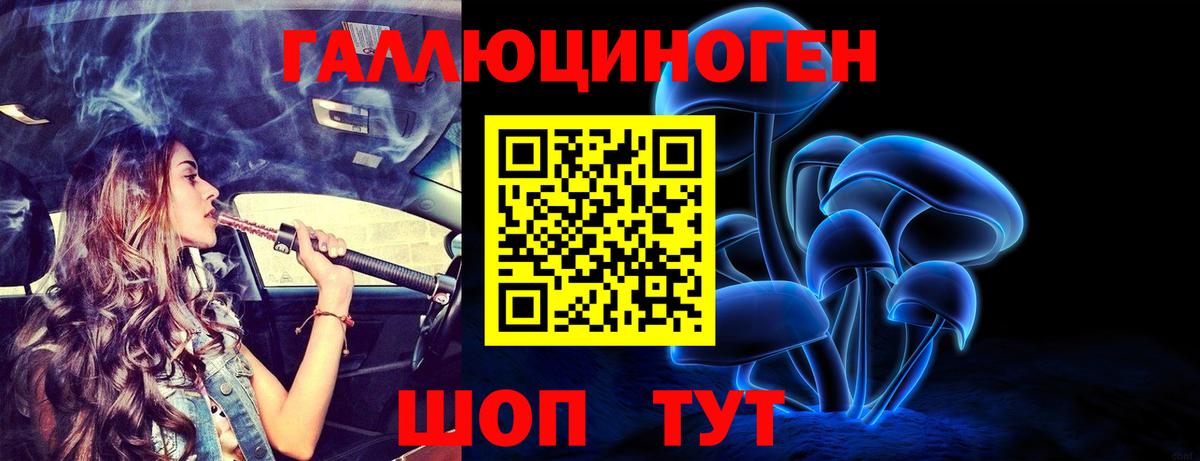 Галлюциногенные грибы Psilocybe Чита